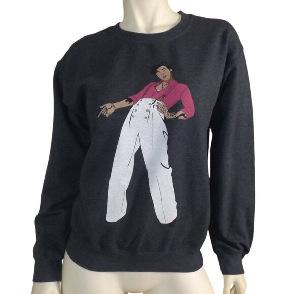 HARRY STYLES Sweatshirt, S, Gray, Cartoon/Caricature,long sleeve charcoal Gildan - Picture 1 of 9